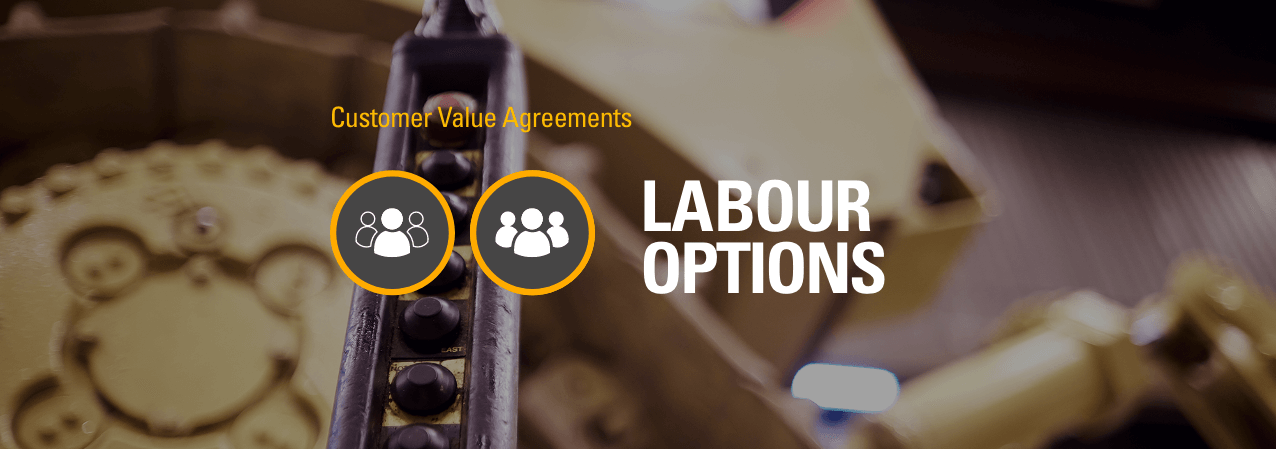 Labour Options
